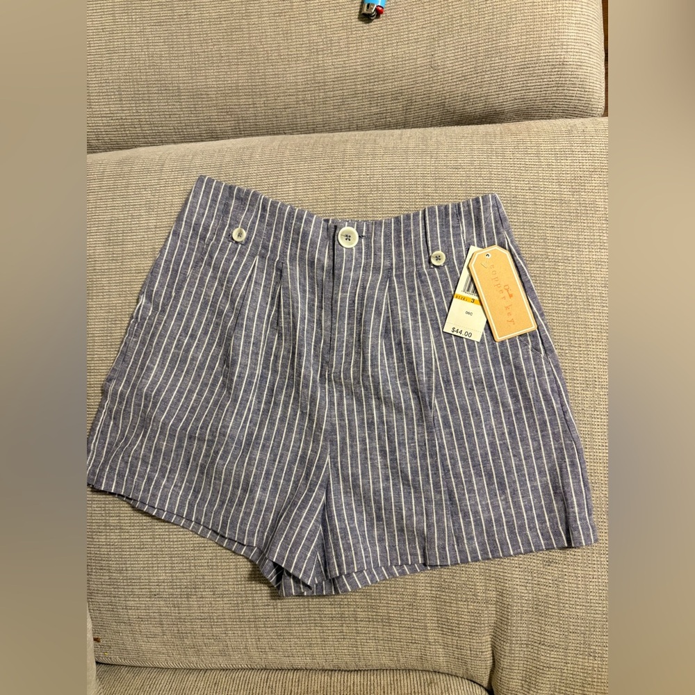 Copper Key Blue and White Striped High-Waist Shorts
